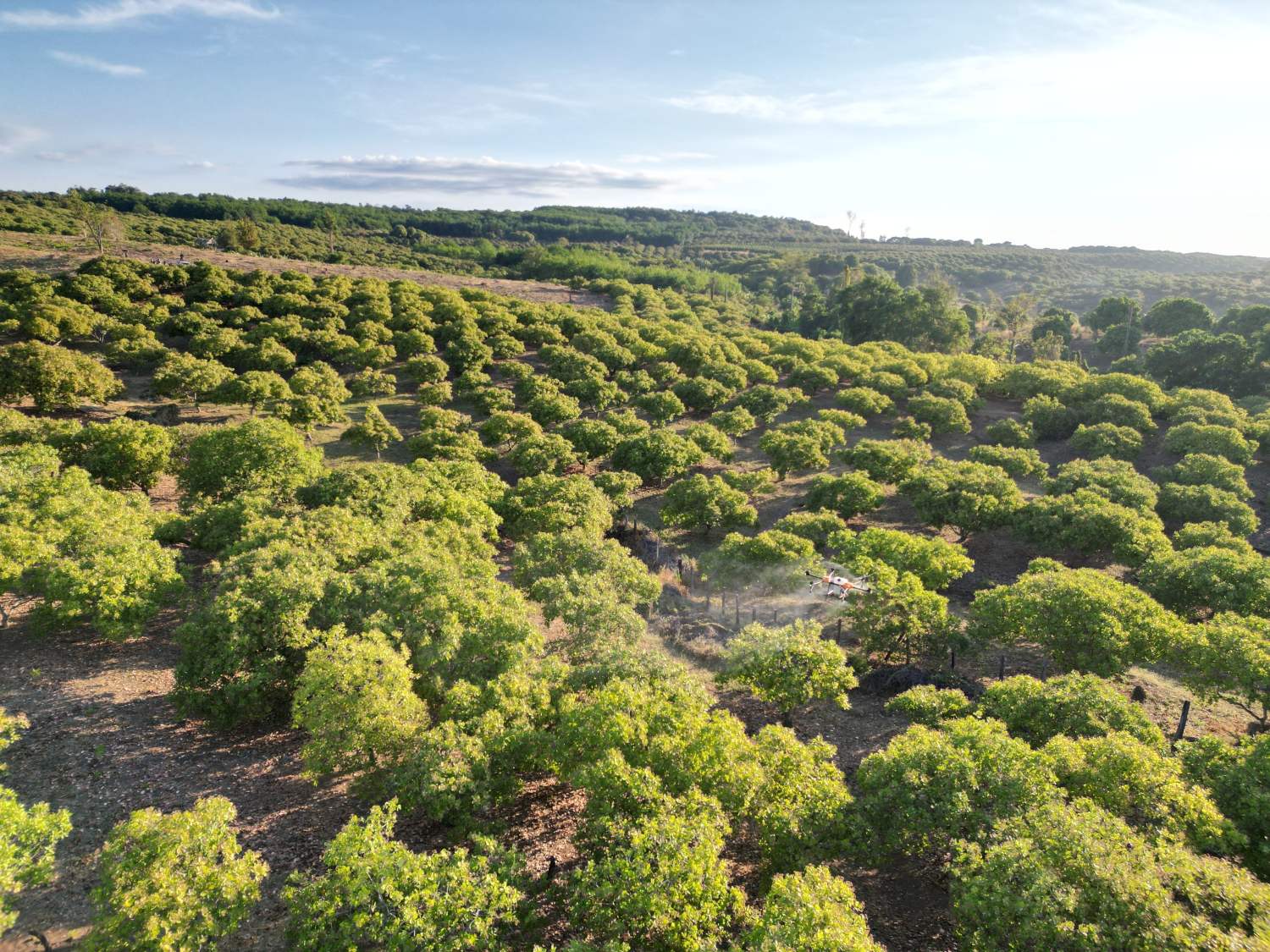 植保無人機(jī)在中國(guó)前景